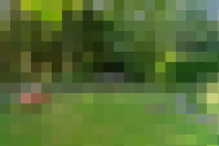 Waldecklaan 20 Bussum thumbnail 39