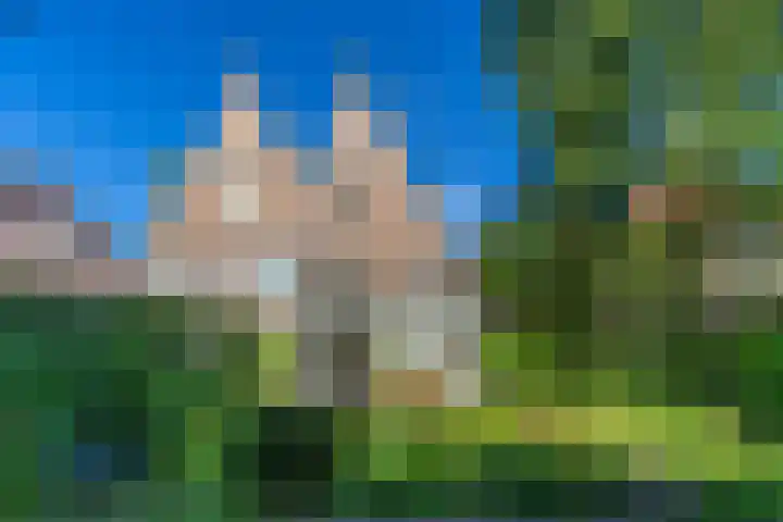 Waldecklaan 20 Bussum thumbnail 40