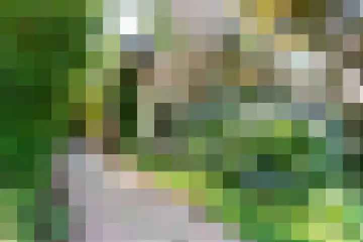 Waldecklaan 20 Bussum thumbnail 42