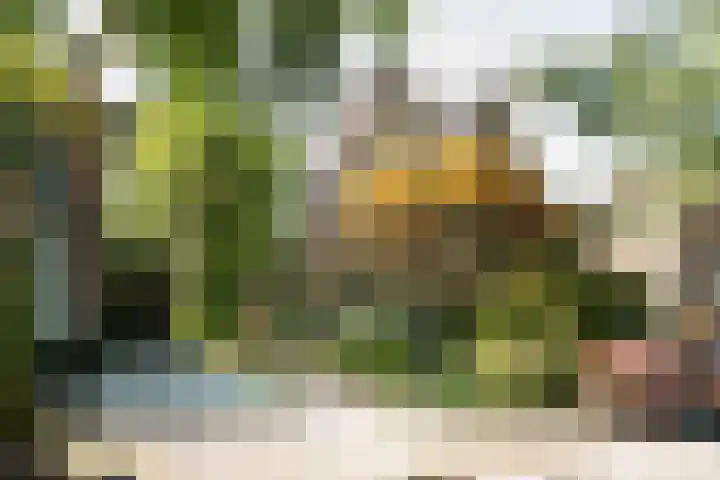 Waldecklaan 20 Bussum thumbnail 43