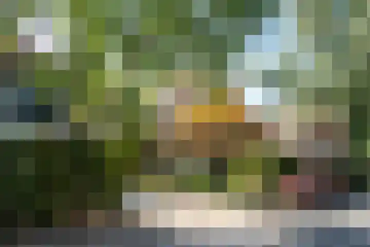 Waldecklaan 20 Bussum thumbnail 44