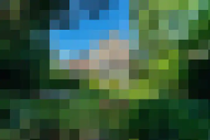 Waldecklaan 20 Bussum thumbnail 52