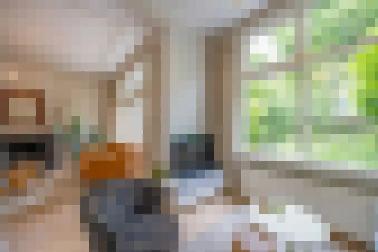 Waldecklaan 67 Hilversum thumbnail 23