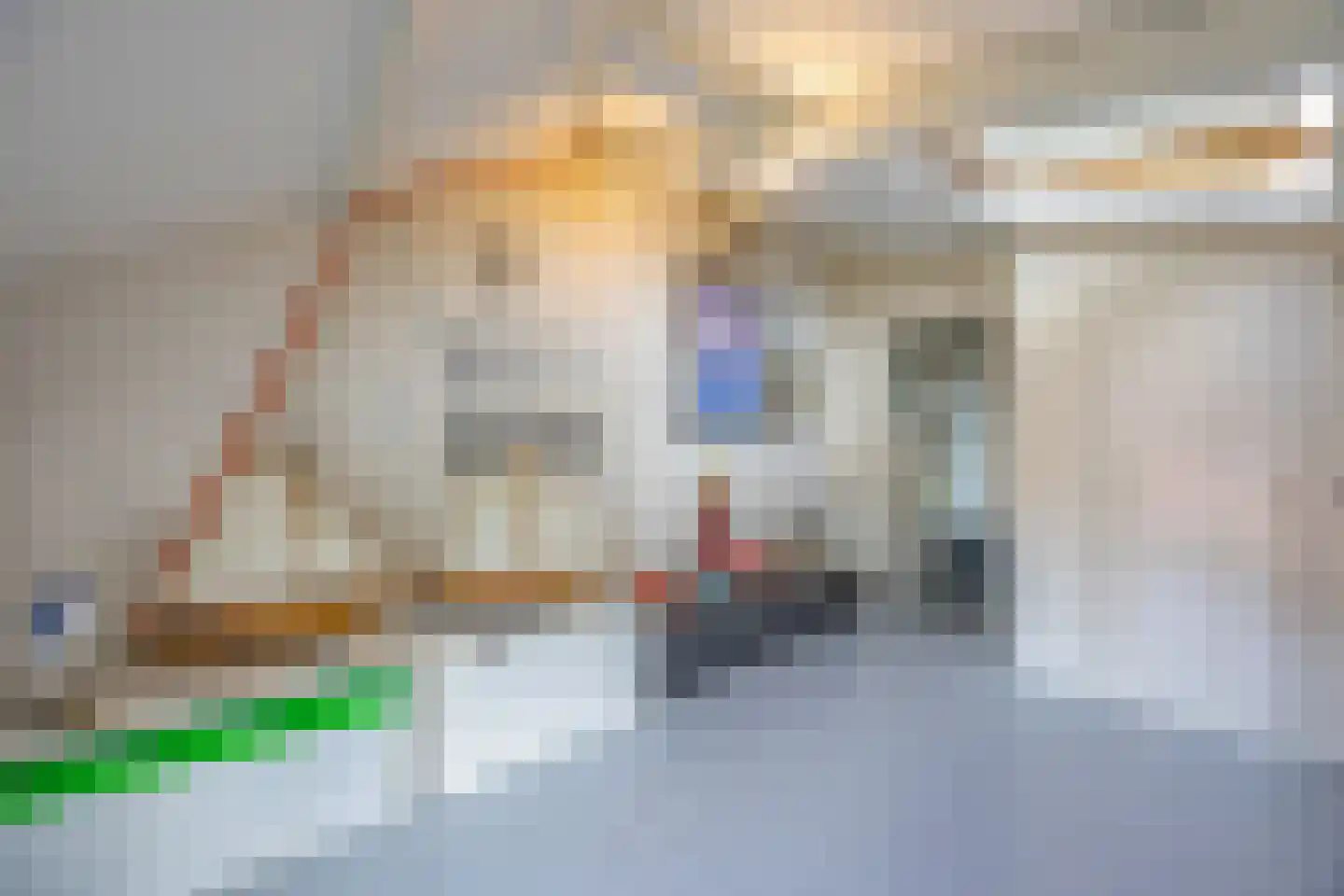 Waldecklaan 67 Hilversum thumbnail 38