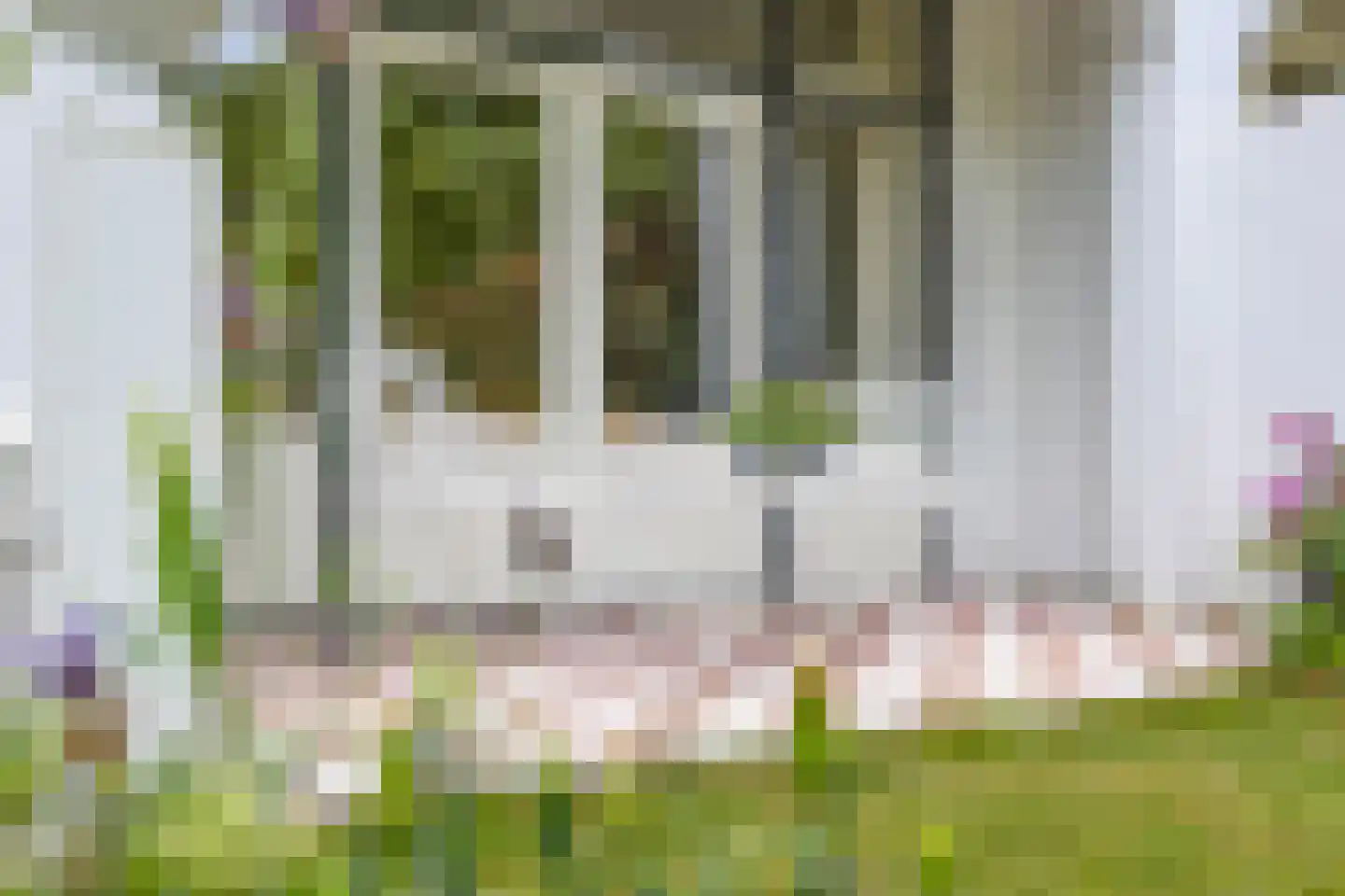 Waldecklaan 67 Hilversum thumbnail 4