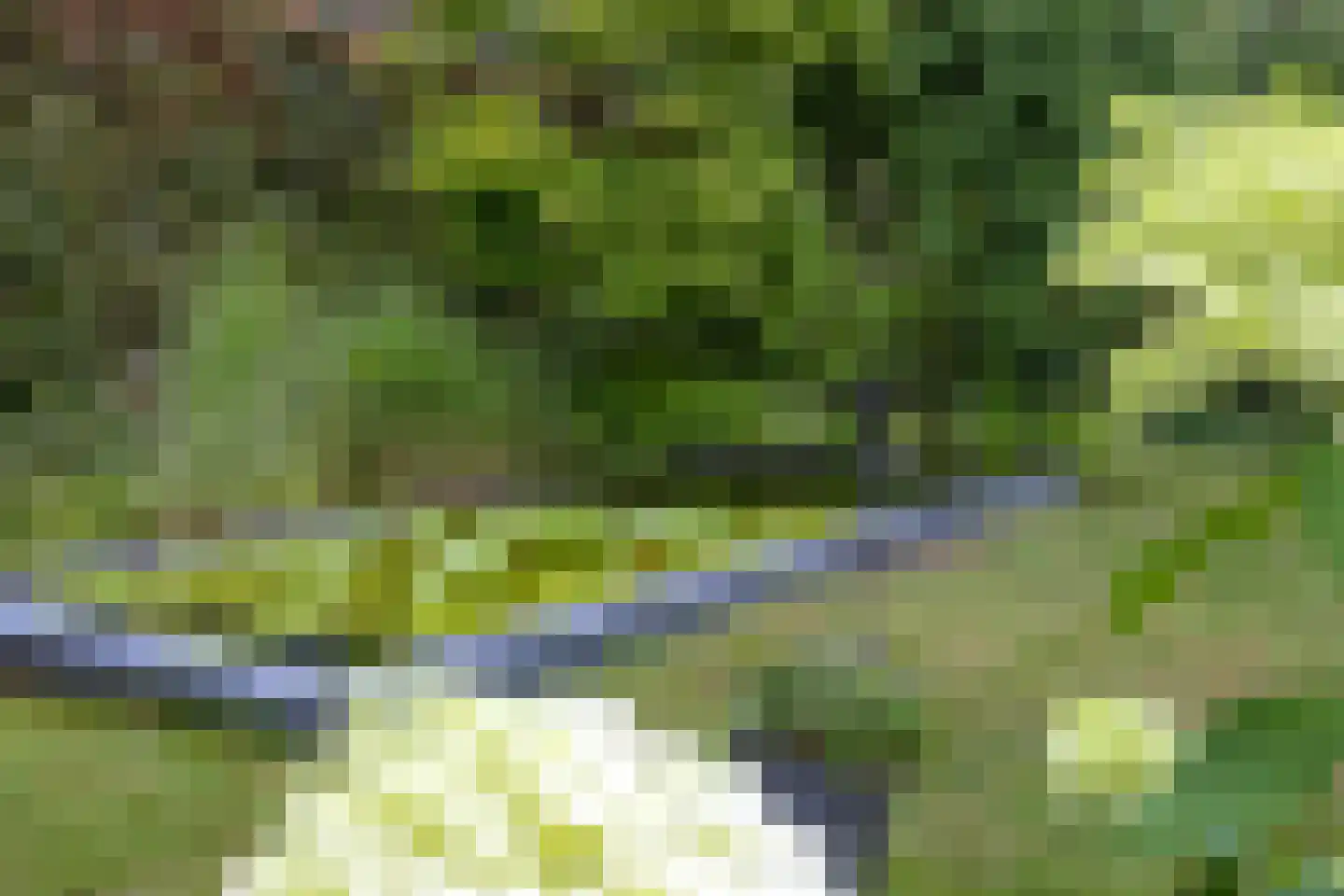 Waldecklaan 67 Hilversum thumbnail 5