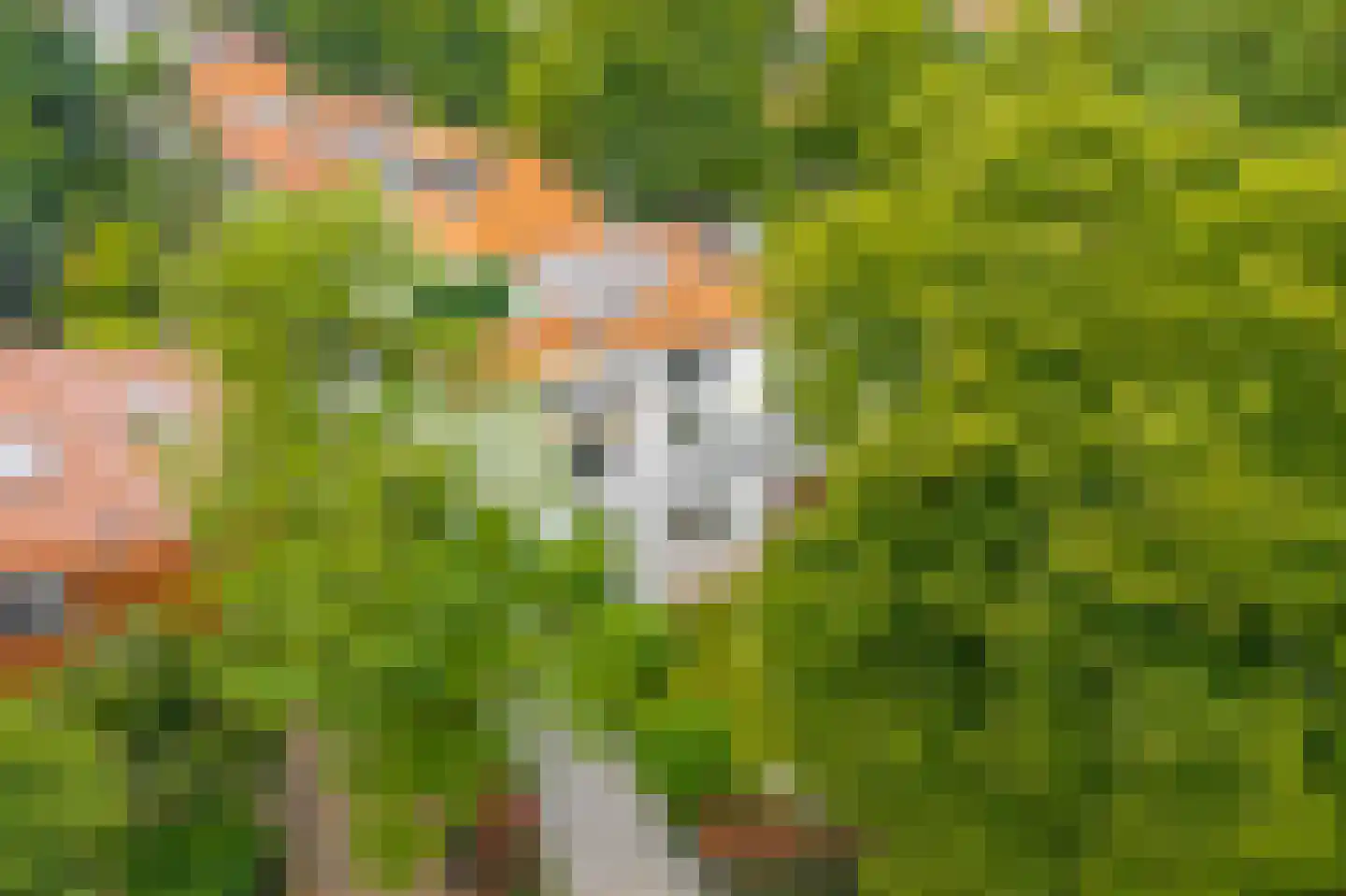 Waldecklaan 67 Hilversum thumbnail 51