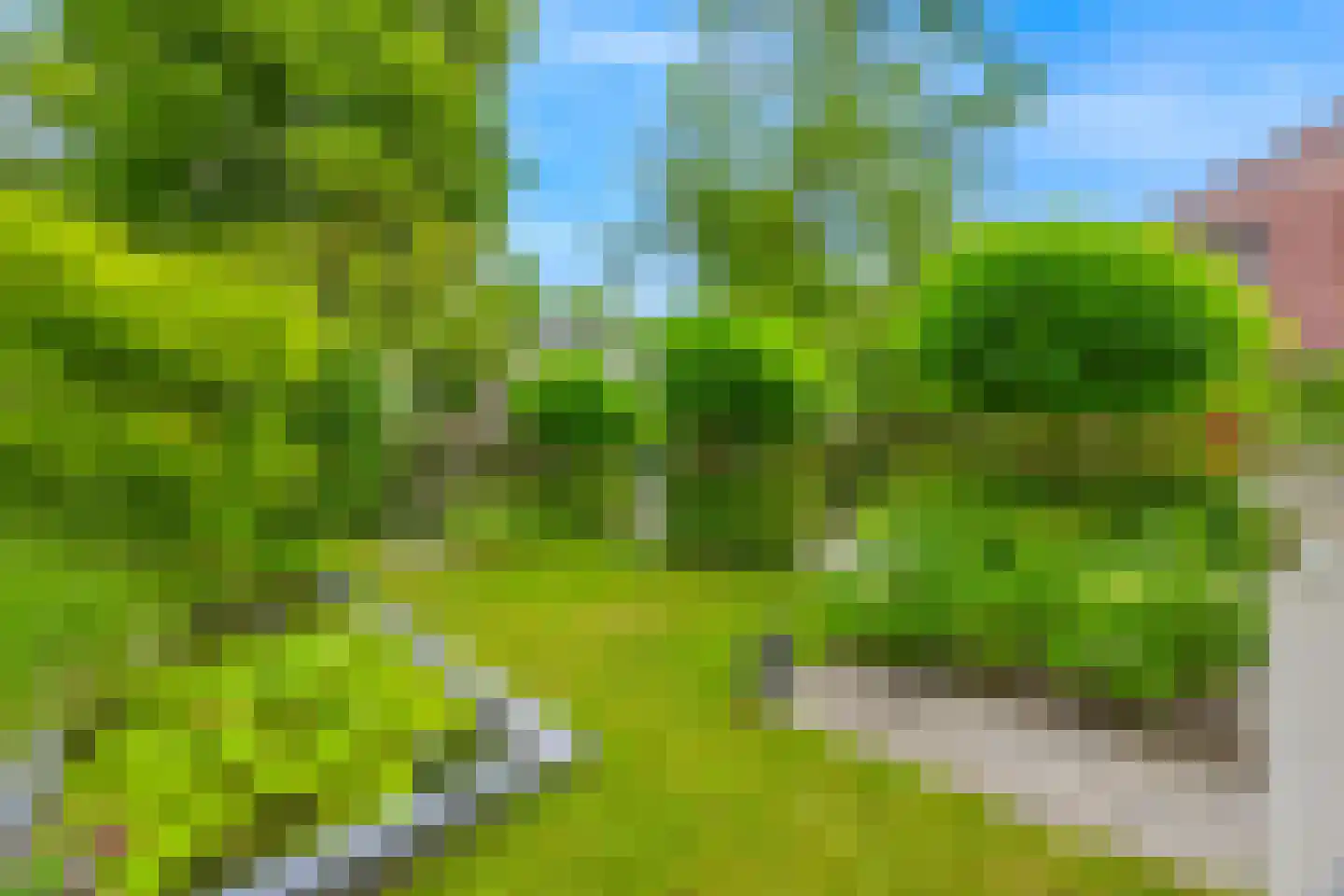 Waldecklaan 67 Hilversum thumbnail 6