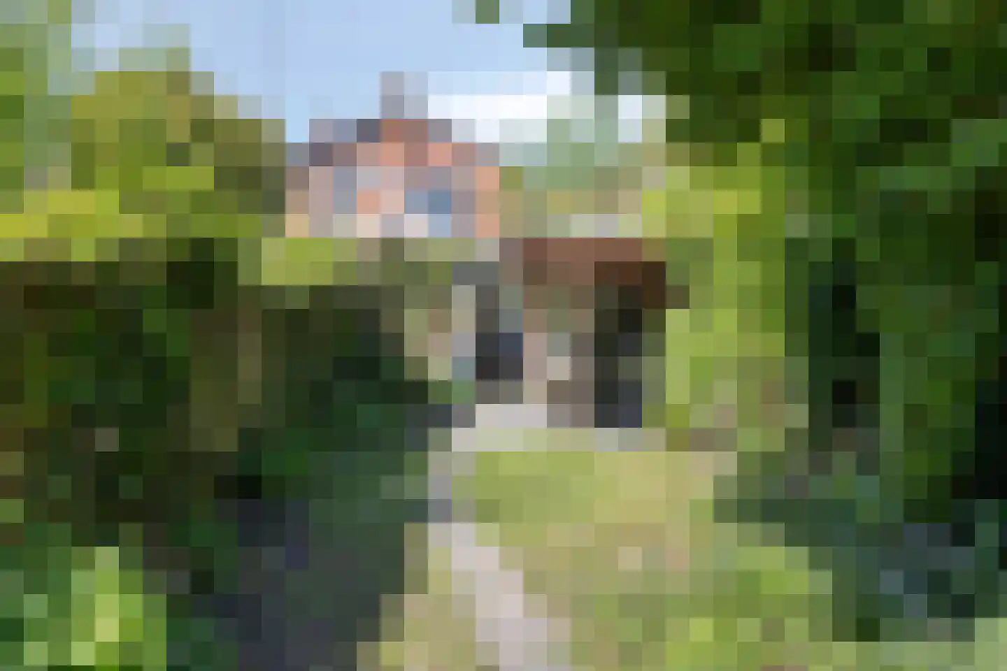 Waldeckstraat 21 Enschede thumbnail 39