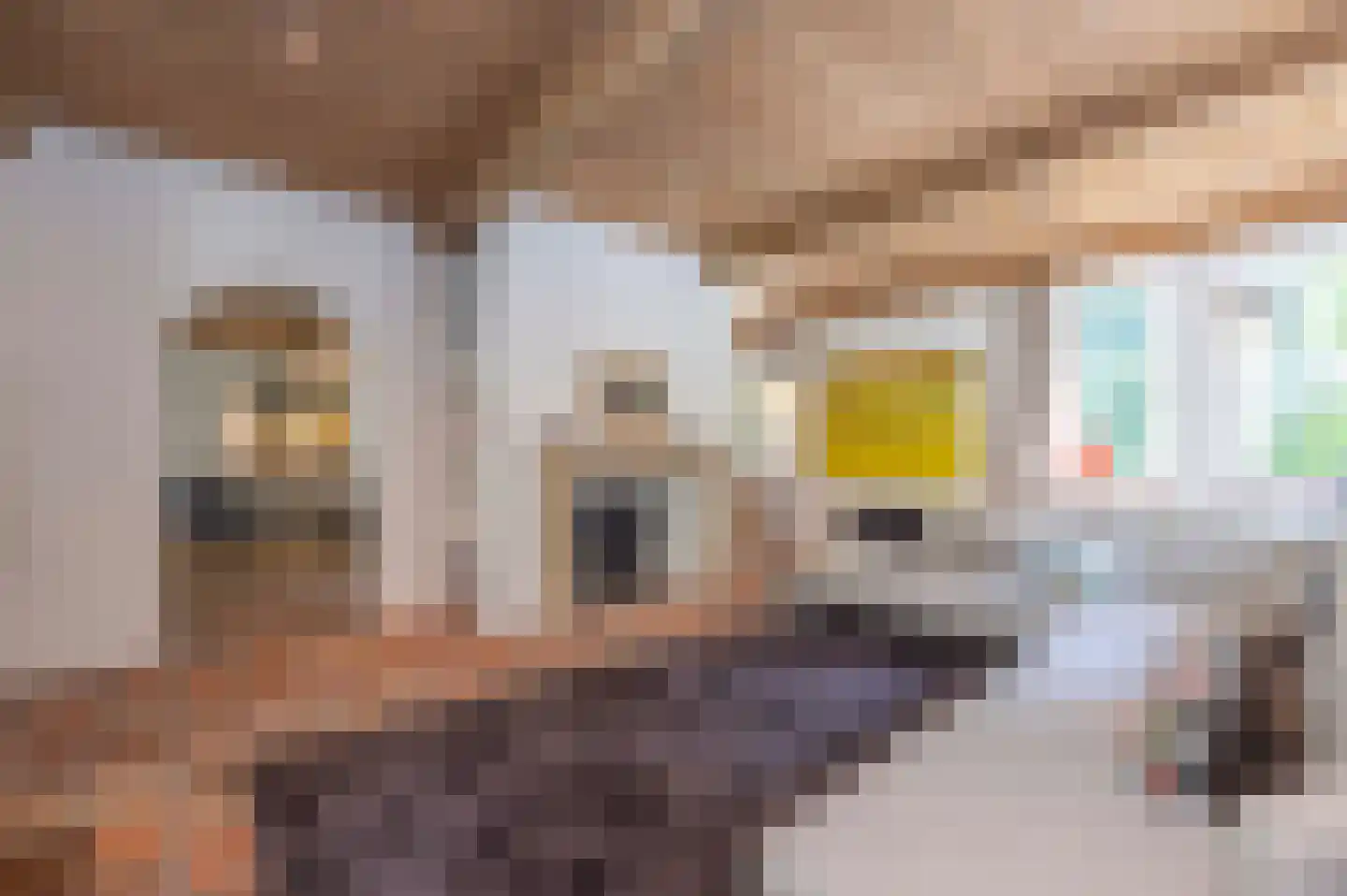 Waldemarlaan 2 B Oisterwijk thumbnail 17
