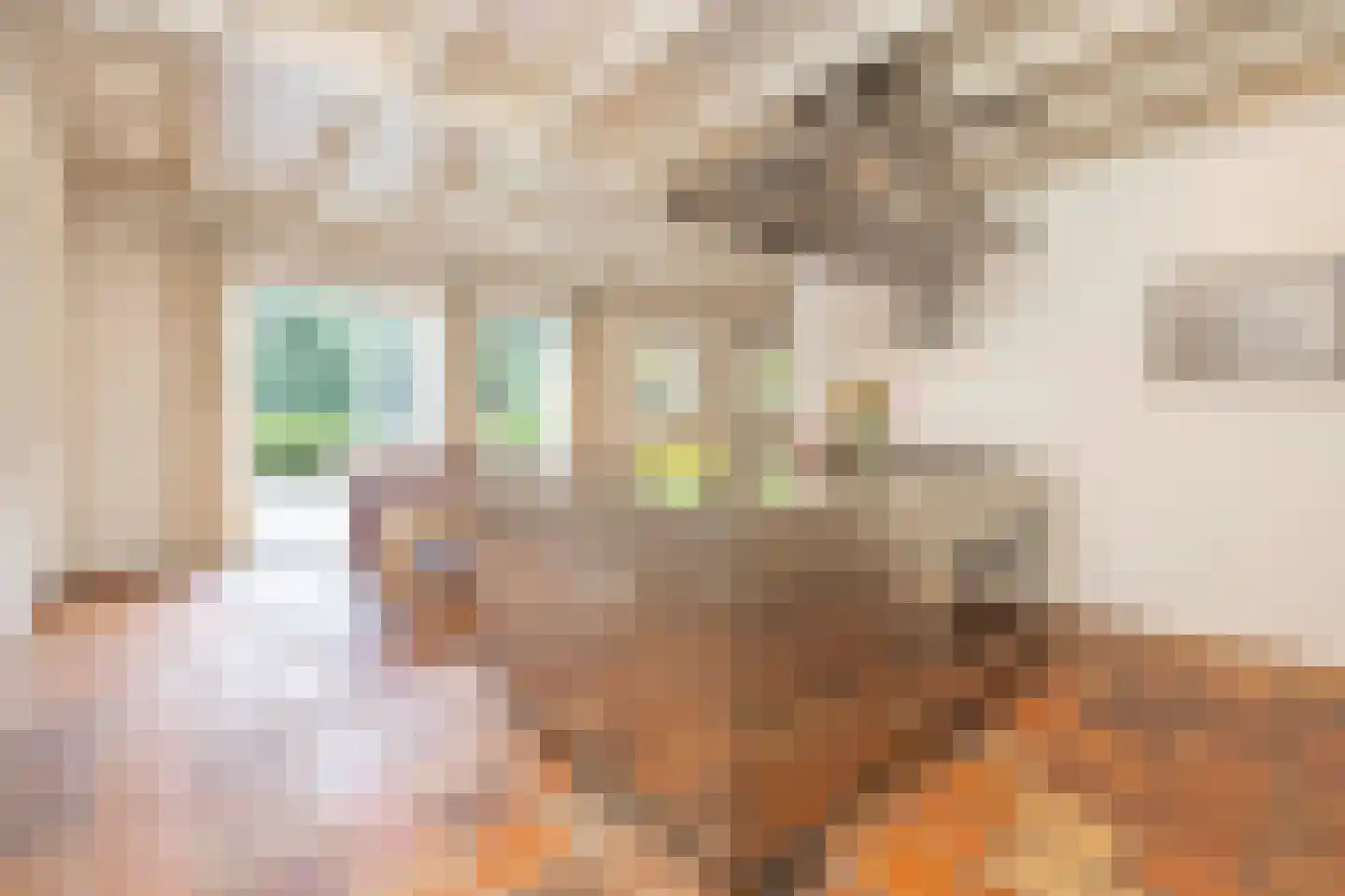 Waldemarlaan 2 B Oisterwijk thumbnail 23