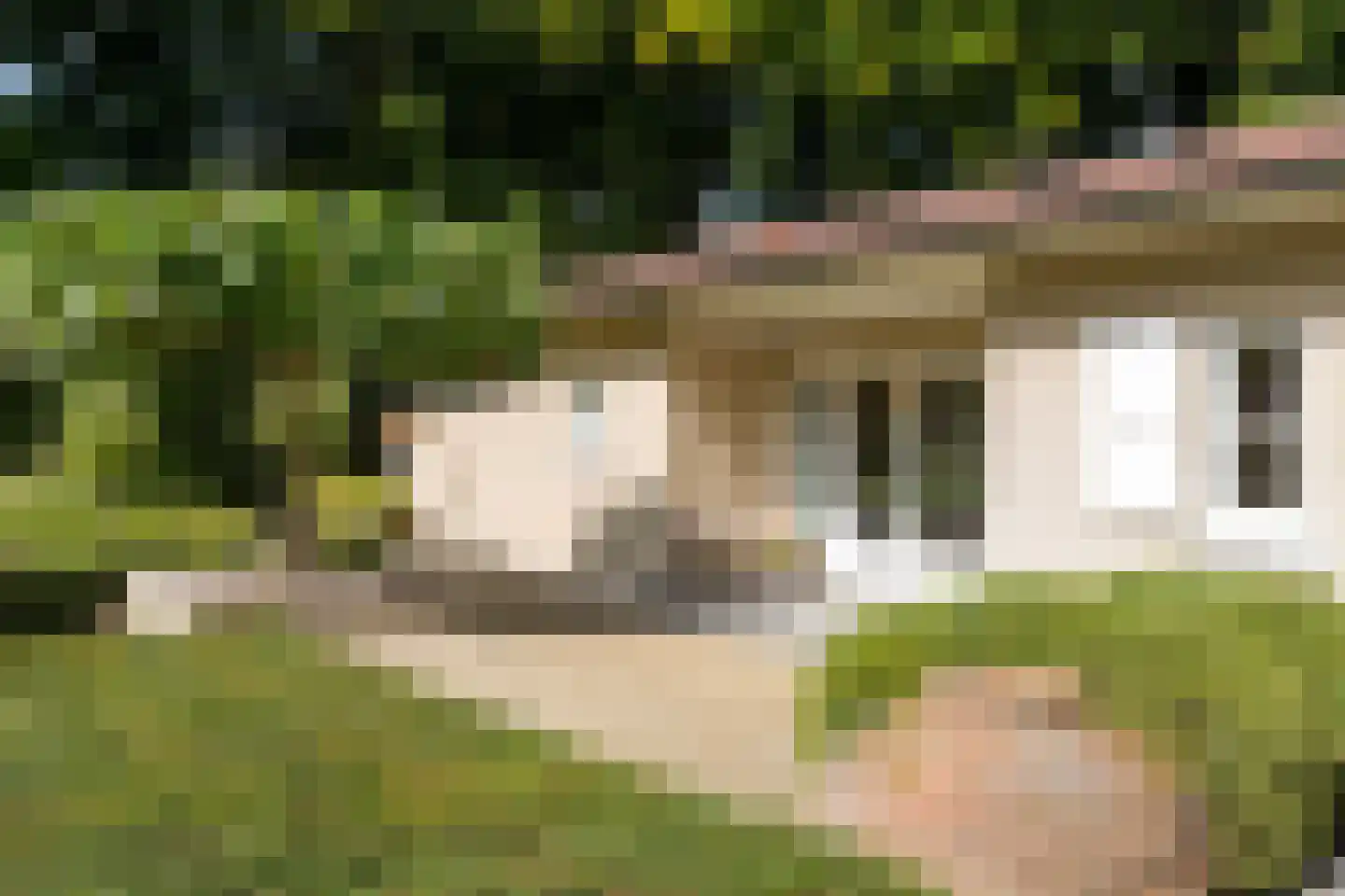 Waldemarlaan 2 B Oisterwijk thumbnail 32