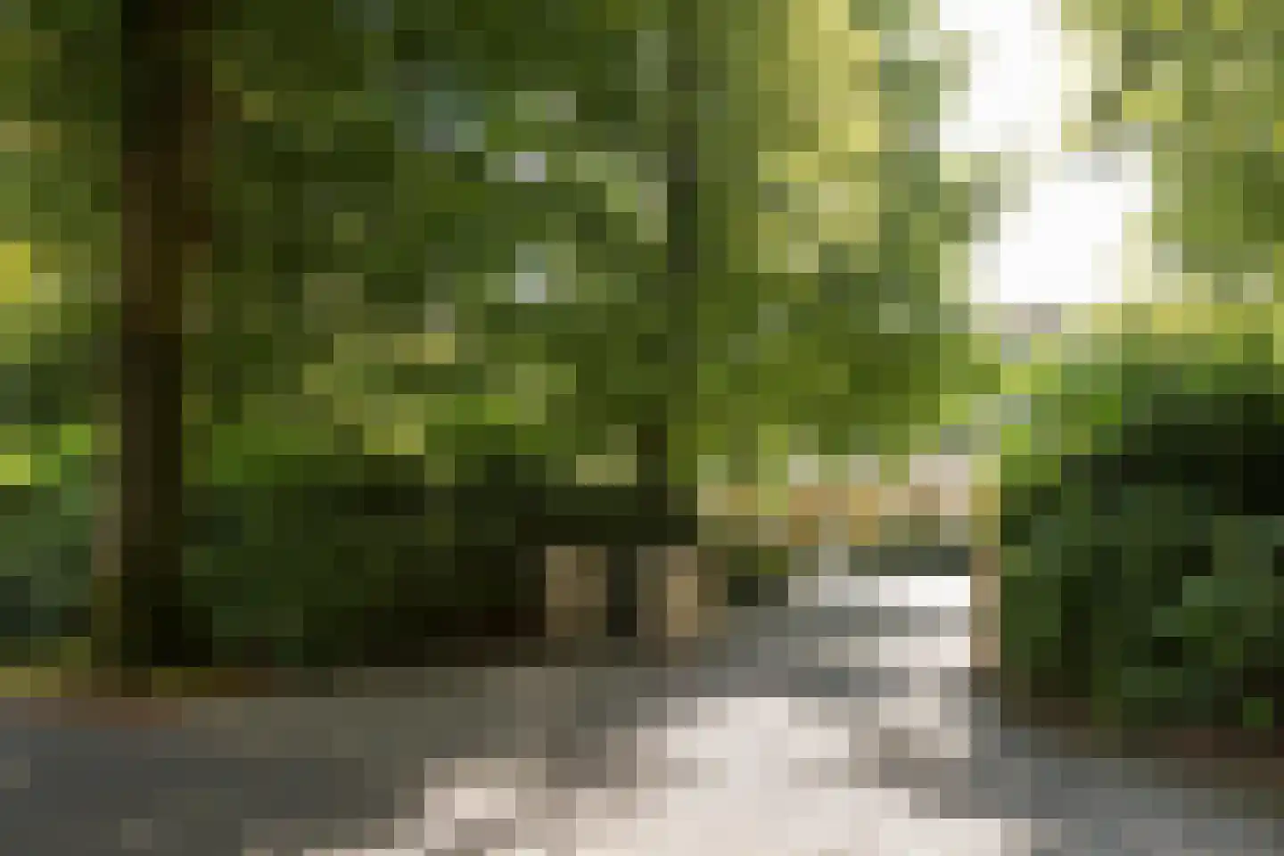 Waldemarlaan 2 B Oisterwijk thumbnail 4