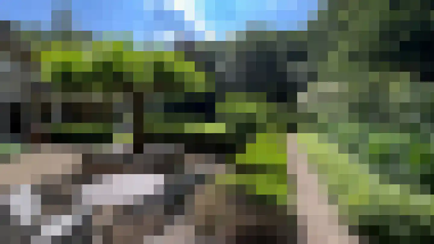 Waldemarlaan 2 B Oisterwijk thumbnail 52