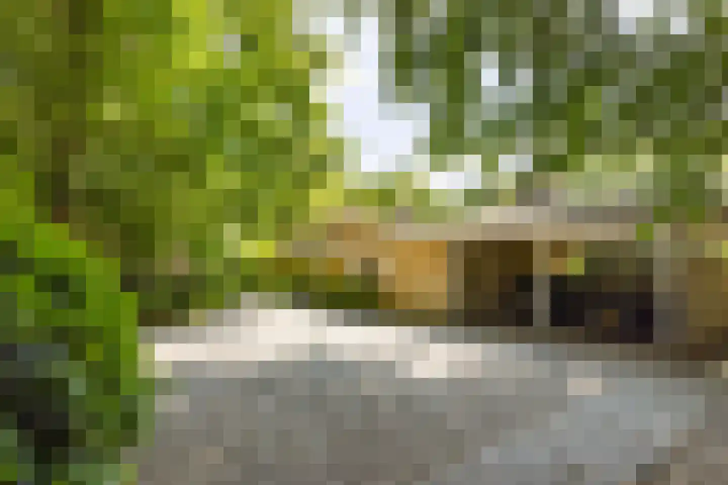 Waldemarlaan 2 B Oisterwijk thumbnail 57