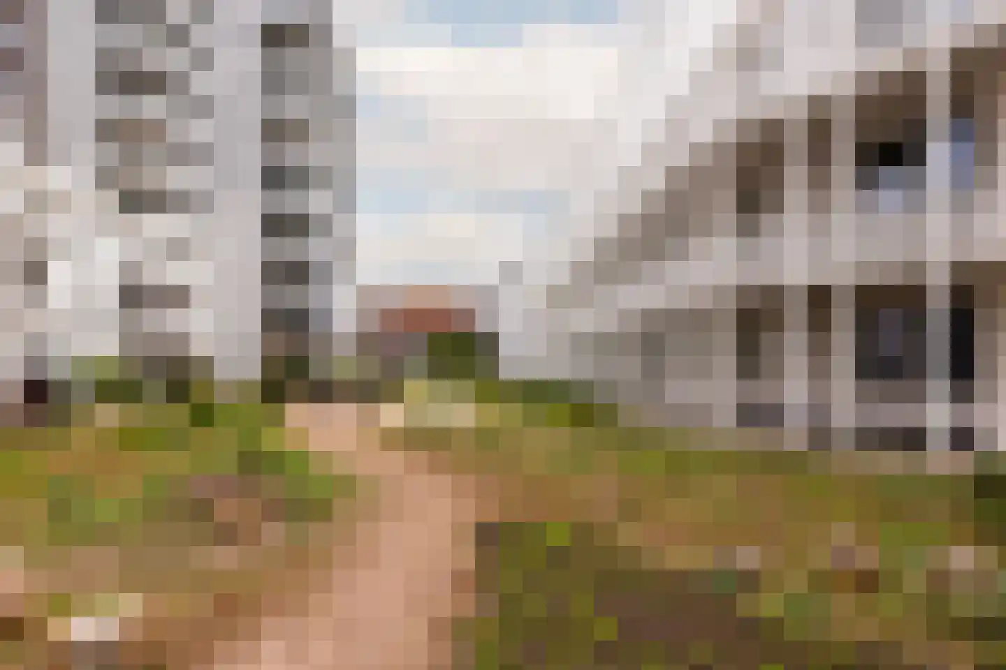 Waldenlaan 103 Amsterdam thumbnail 27