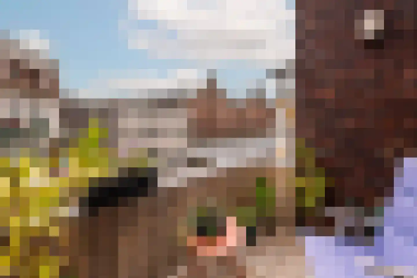 Waldenlaan 103 Amsterdam thumbnail 8
