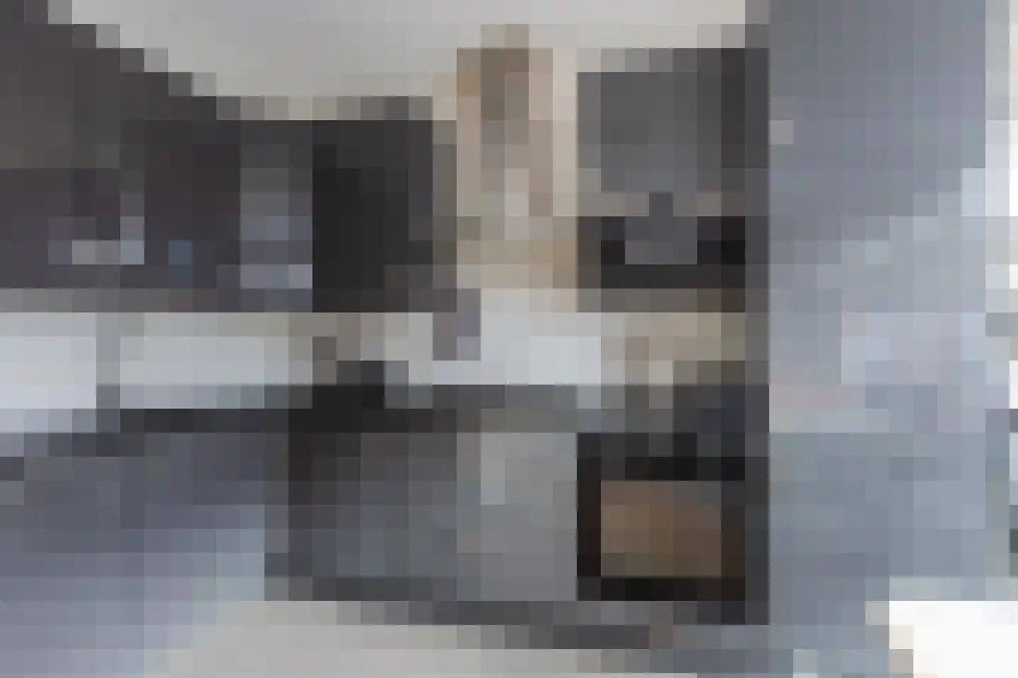 Waldenlaan 107 Amsterdam thumbnail 22