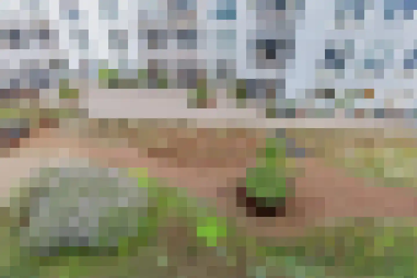 Waldenlaan 107 Amsterdam thumbnail 36