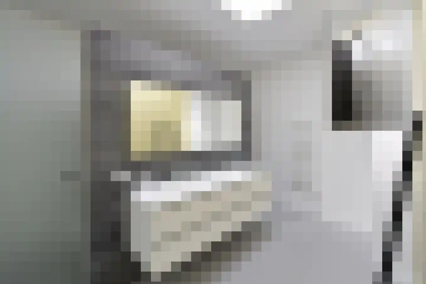 Waldenlaan 11 Bussum thumbnail 11
