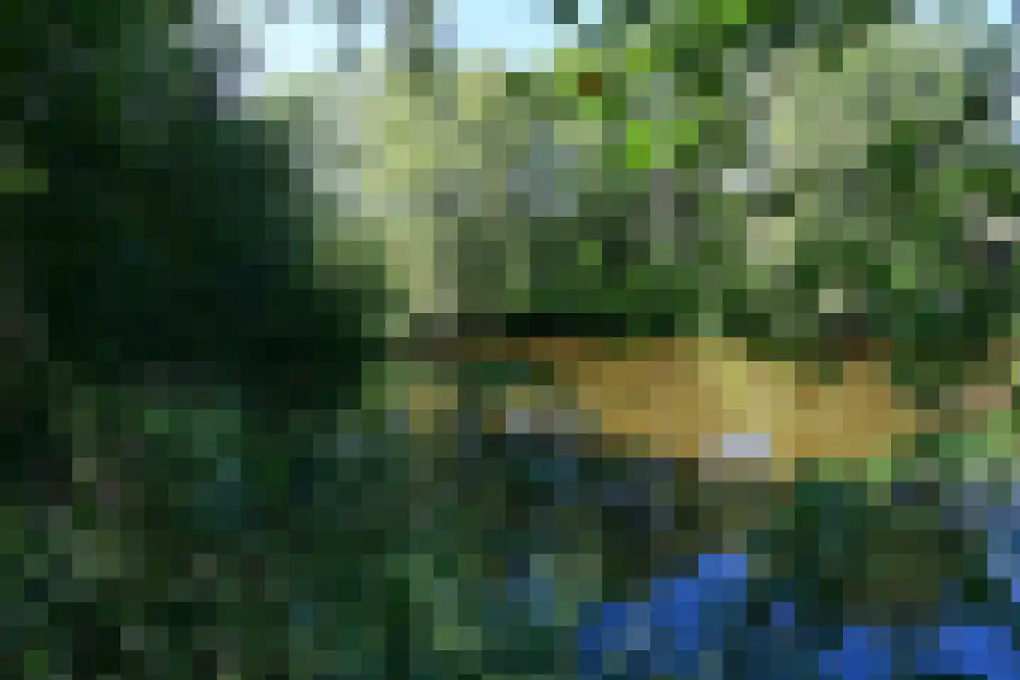 Waldenlaan 11 Bussum thumbnail 24