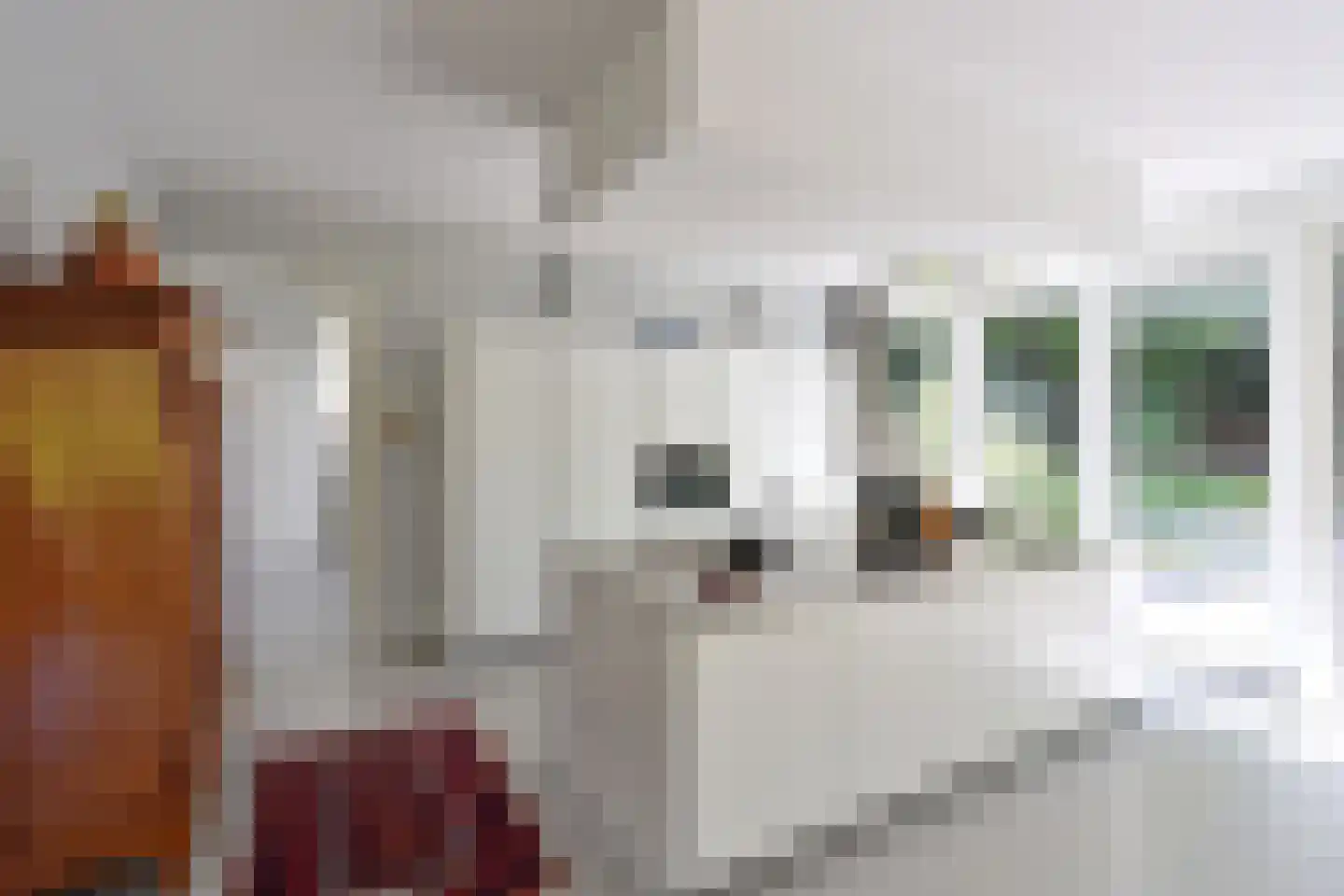 Waldenlaan 11 Bussum thumbnail 7