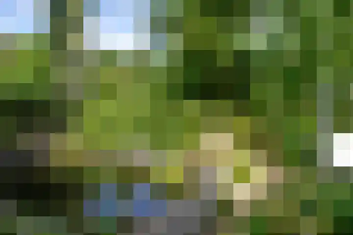 Waldenlaan 18 Bussum thumbnail 26
