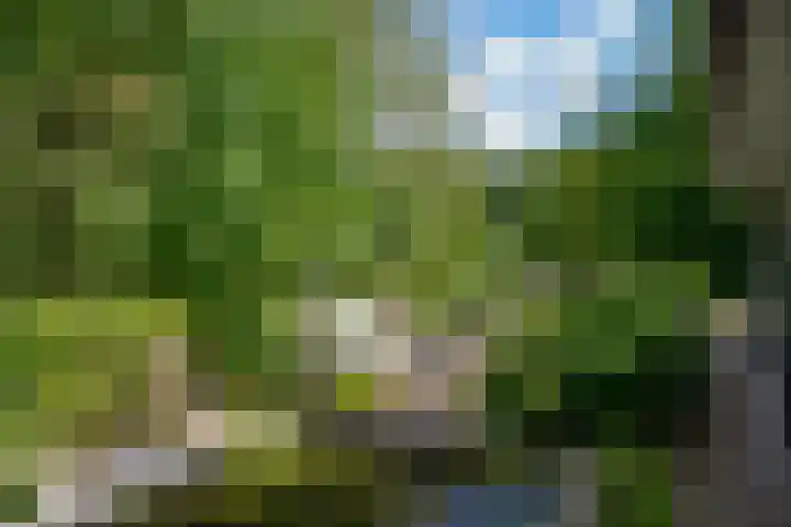 Waldenlaan 18 Bussum thumbnail 27