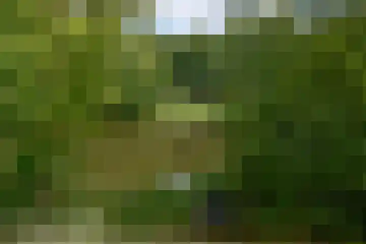 Waldenlaan 18 Bussum thumbnail 28