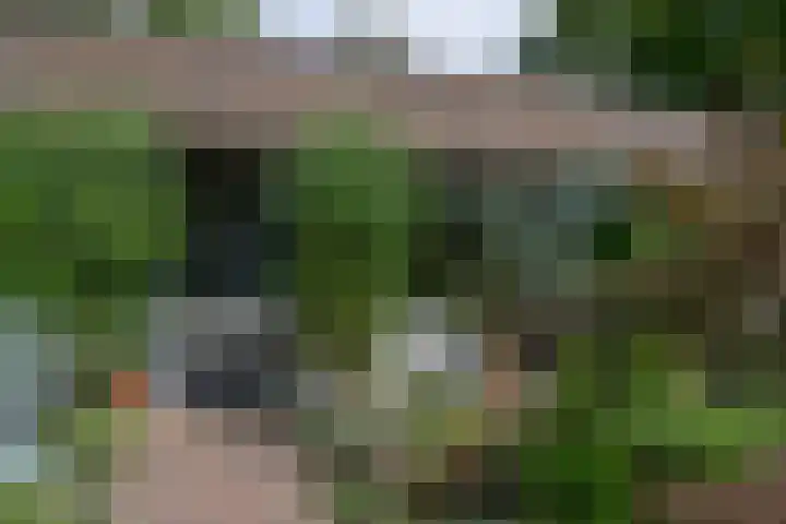 Waldenlaan 18 Bussum thumbnail 30