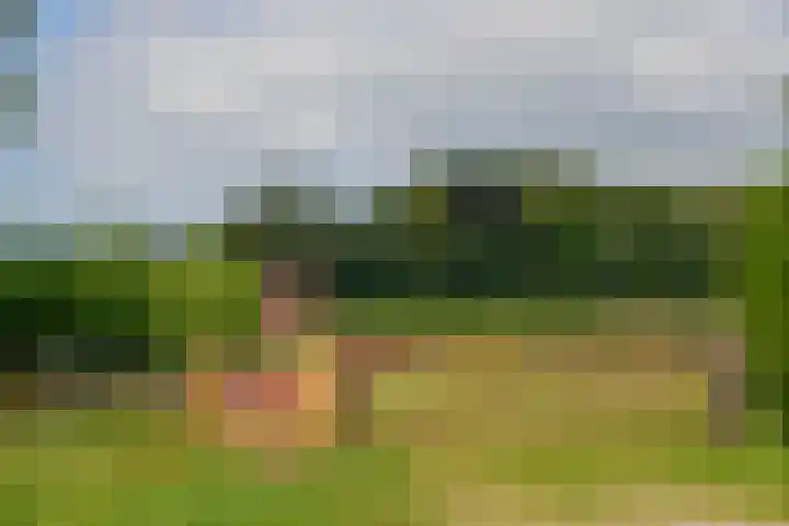 Waldenlaan 18 Bussum thumbnail 32