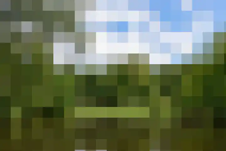 Waldenlaan 18 Bussum thumbnail 4