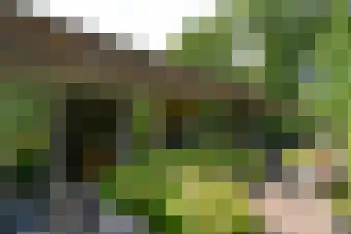 Waldenlaan 18 Bussum thumbnail 5