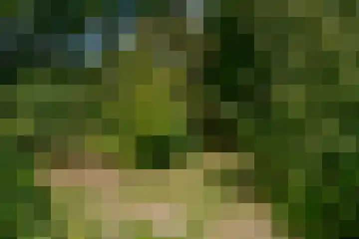 Waldenlaan 18 Bussum thumbnail 6