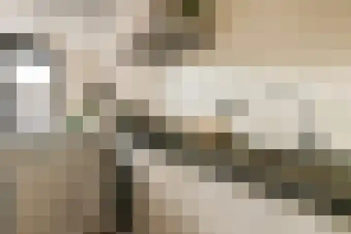 Waldenlaan 213 Amsterdam thumbnail 11
