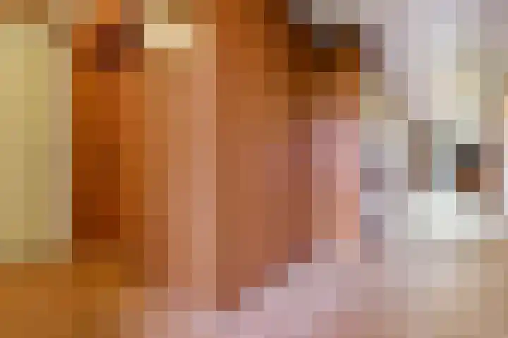 Waldenlaan 213 Amsterdam thumbnail 18