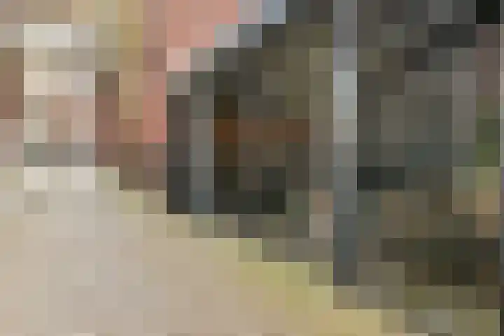 Waldenlaan 213 Amsterdam thumbnail 19