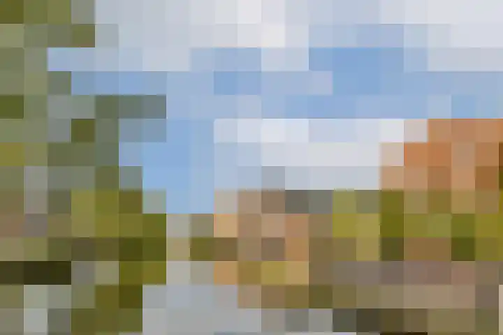 Waldenlaan 213 Amsterdam thumbnail 22