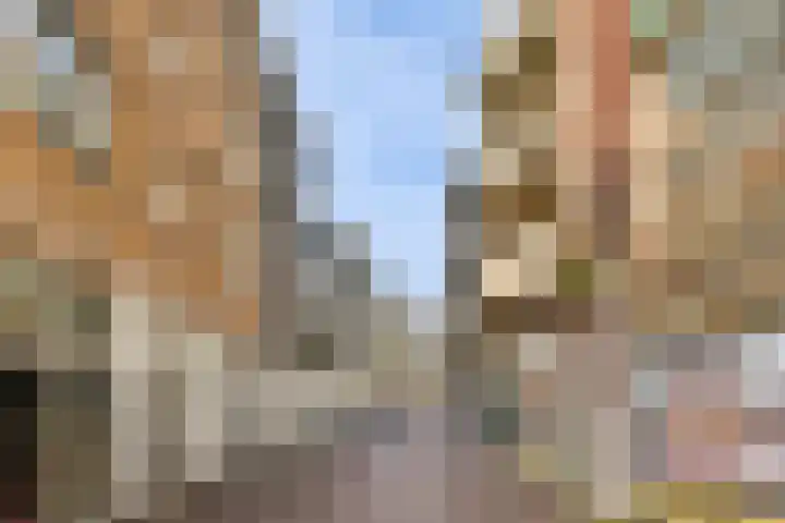Waldenlaan 213 Amsterdam thumbnail 24