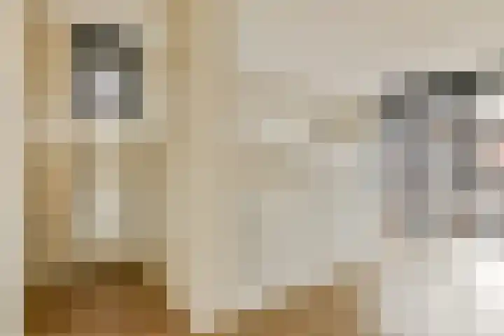 Waldenlaan 213 Amsterdam thumbnail 7