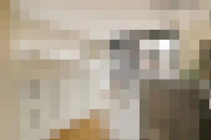 Waldenlaan 213 Amsterdam thumbnail 8
