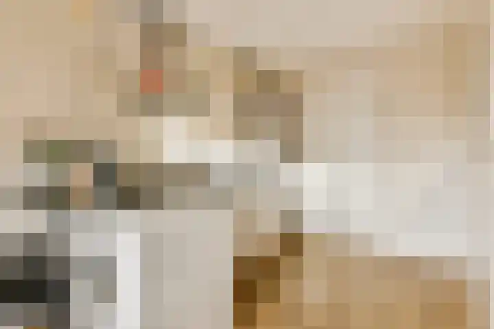 Waldenlaan 213 Amsterdam thumbnail 9