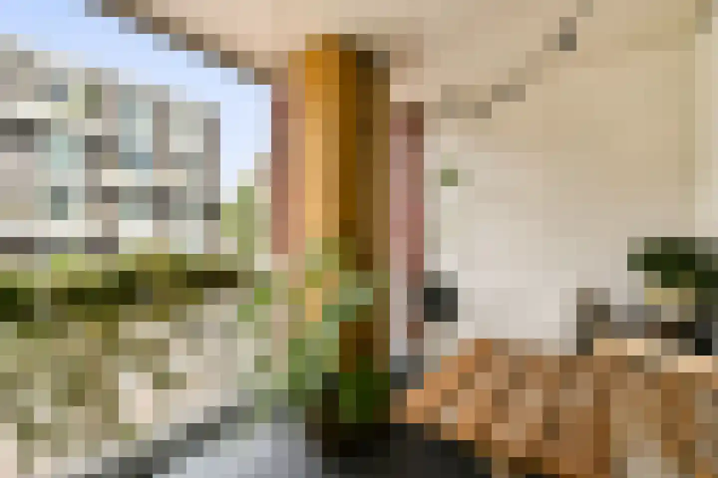 Waldenlaan 5 Amsterdam thumbnail 10