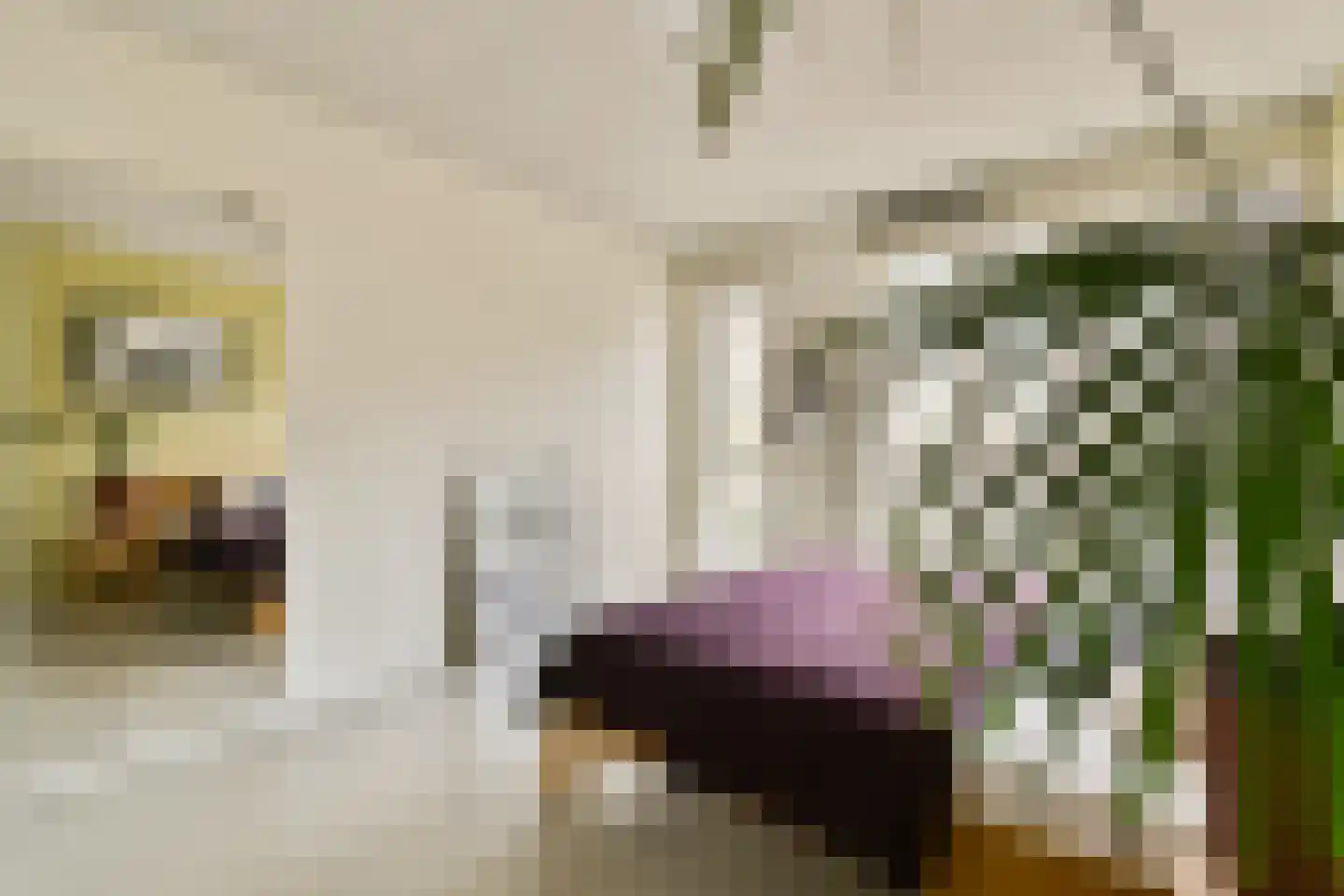 Waldenlaan 5 Amsterdam thumbnail 14