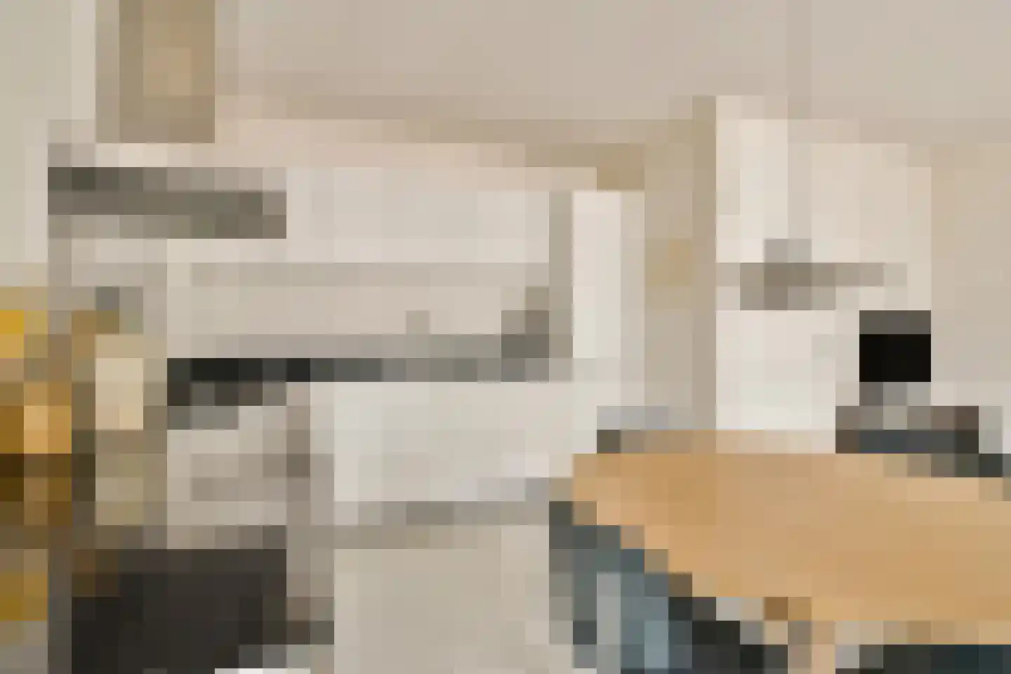 Waldenlaan 5 Amsterdam thumbnail 9