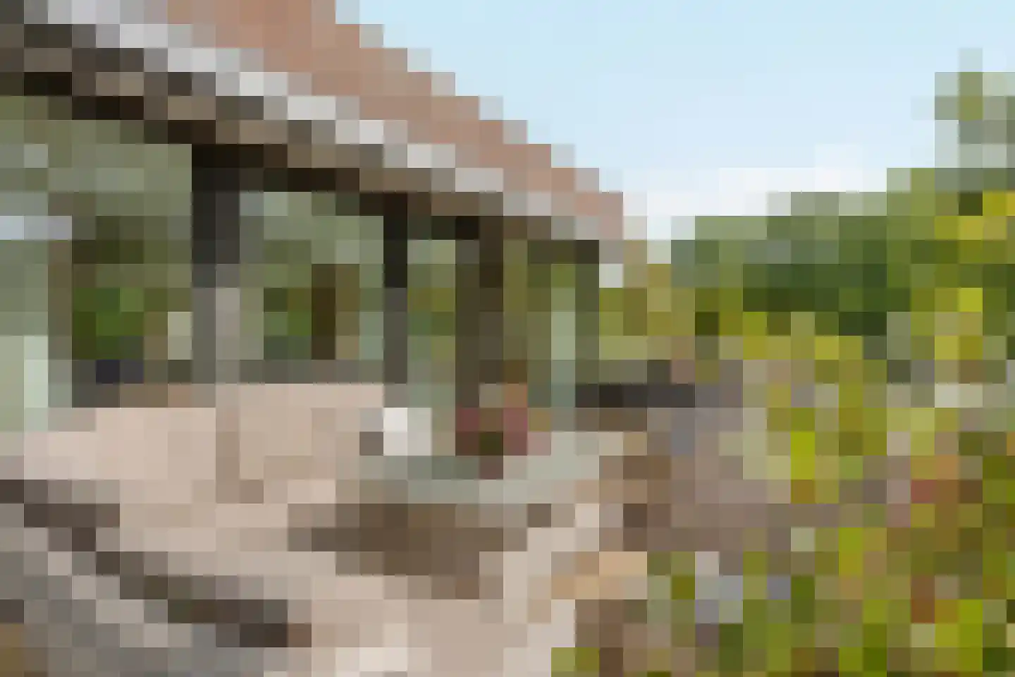 Waldenlaan 50 Bussum thumbnail 25