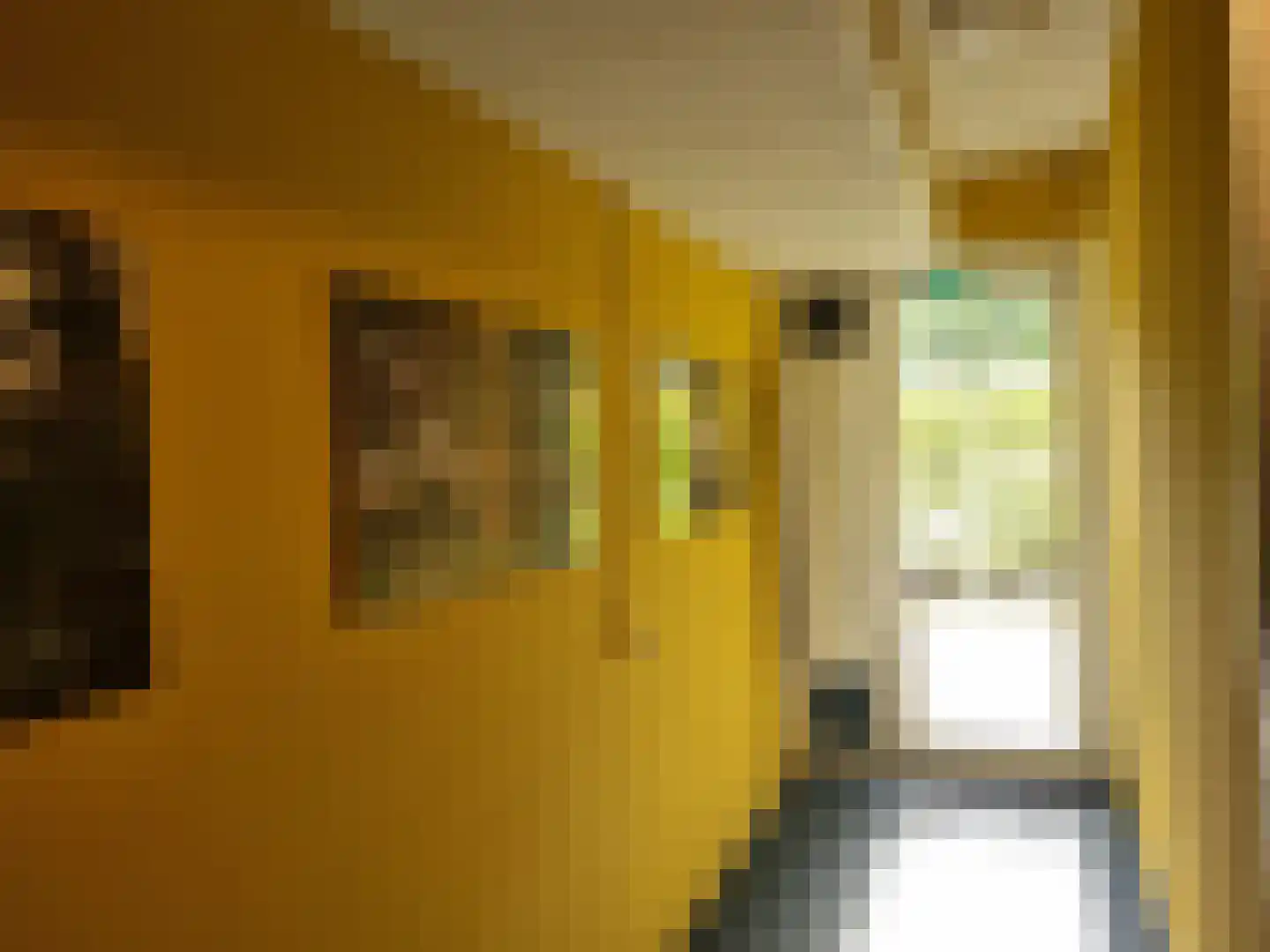 Waldenlaan 50 Bussum thumbnail 4