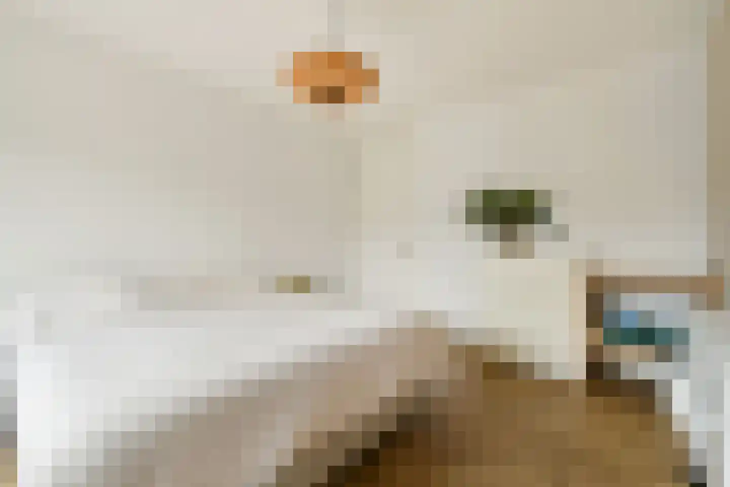 Waldenlaan 77 Amsterdam thumbnail 11