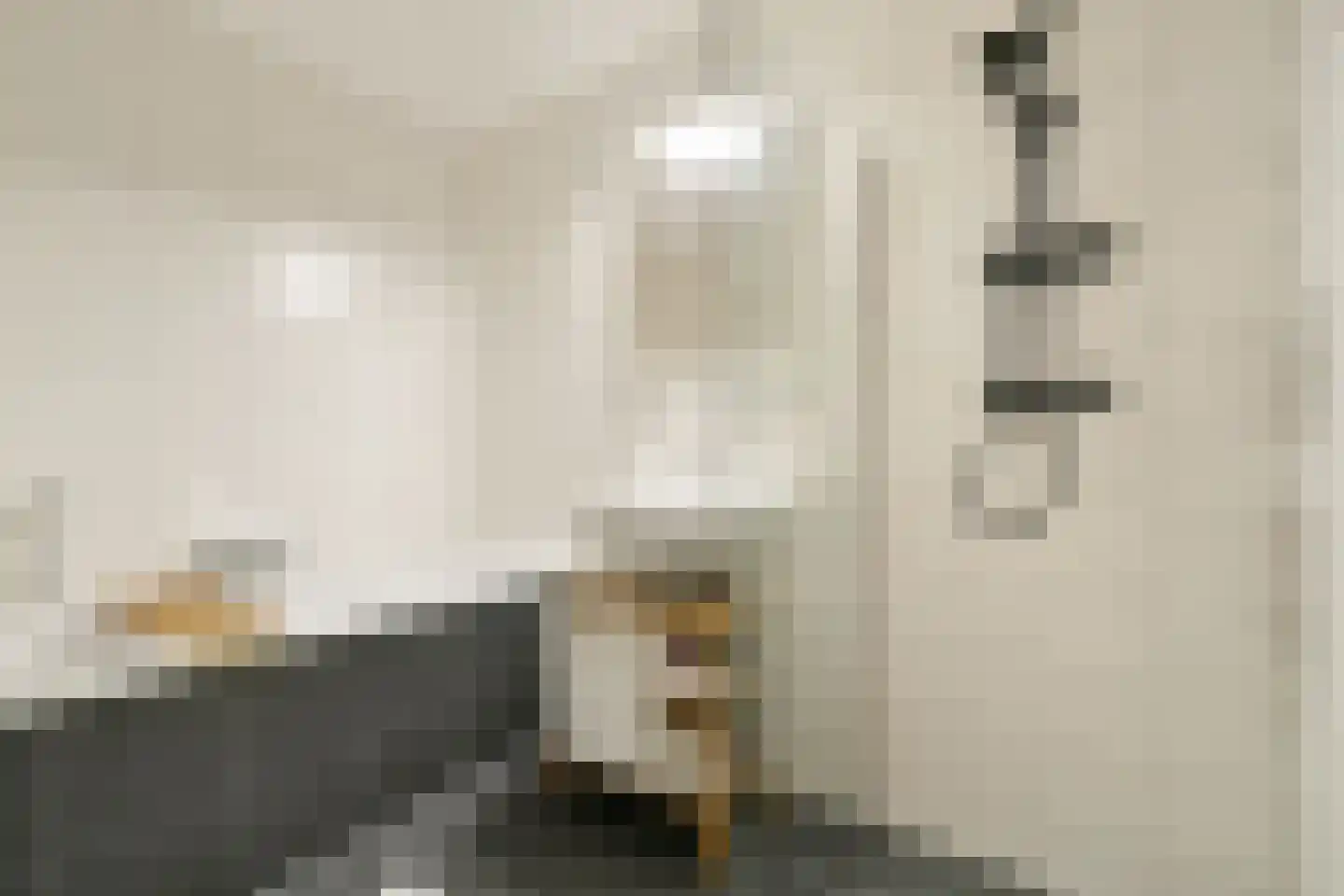 Waldenlaan 77 Amsterdam thumbnail 14