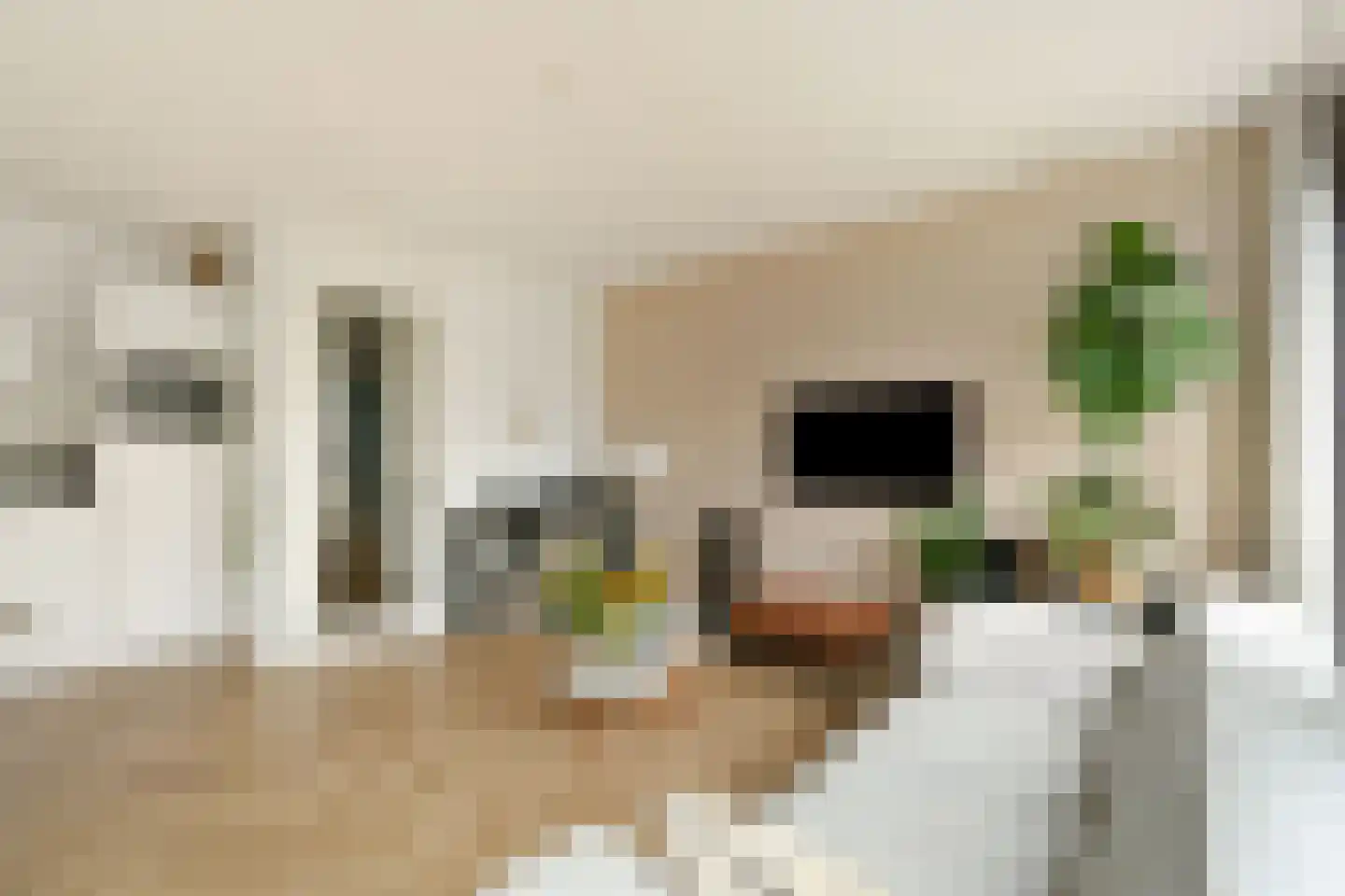 Waldenlaan 77 Amsterdam thumbnail 4